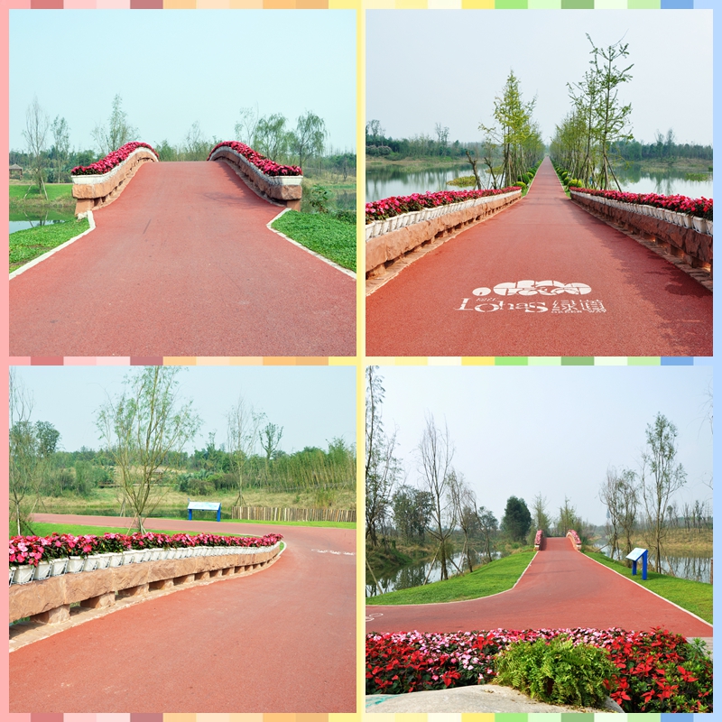 成都市三圣鄉白鷺溪生態濕地瀝青路面工程2.jpg